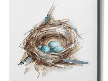 Bird Nest Study II  by Ethan Harper, Canvas Wall Art For Cheap