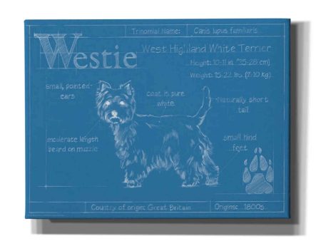 Blueprint Westie  by Ethan Harper Canvas Wall Art Online