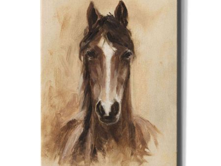 Western Ranch Animals I  by Ethan Harper Canvas Wall Art Online now