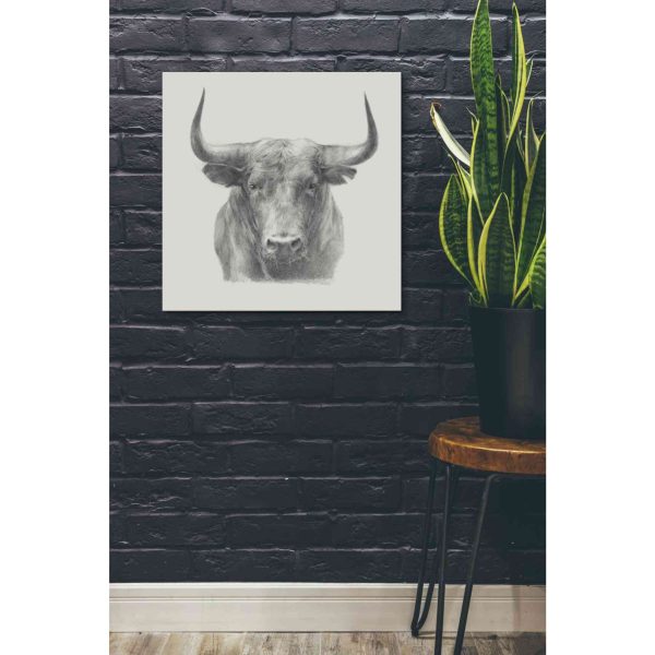 Black Bull  by Ethan Harper, Canvas Wall Art For Cheap