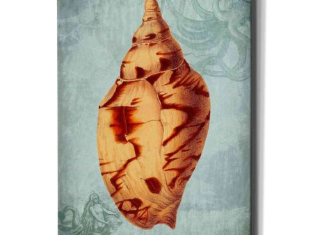 Coastal Life Collection 2 d  by Fab Funky Giclee Canvas Wall Art Online Hot Sale