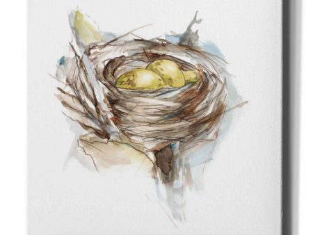 Bird Nest Study III  by Ethan Harper, Canvas Wall Art For Cheap