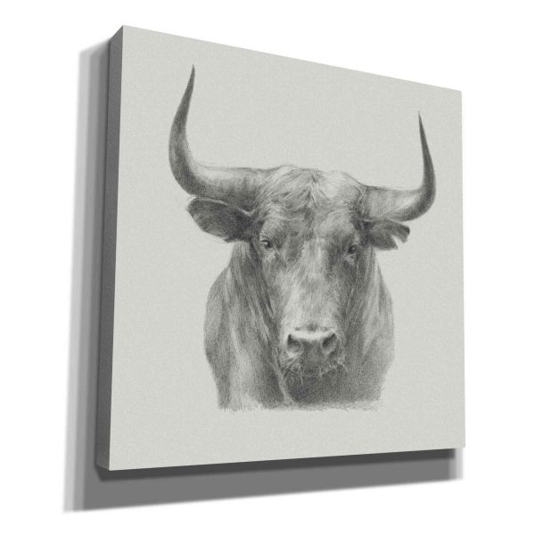 Black Bull  by Ethan Harper, Canvas Wall Art For Cheap