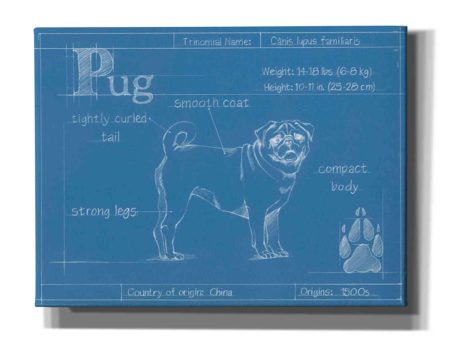 Blueprint Pug  by Ethan Harper Canvas Wall Art on Sale