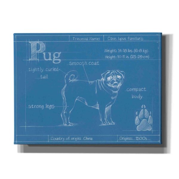 Blueprint Pug  by Ethan Harper Canvas Wall Art on Sale