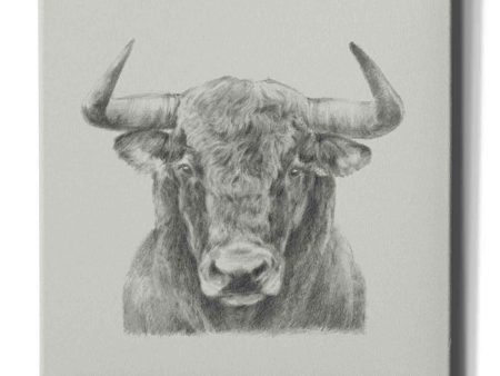 Black and White Bull  by Ethan Harper, Canvas Wall Art Online now