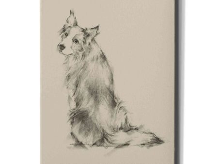 Puppy Dog Eyes VI  by Ethan Harper Canvas Wall Art For Discount