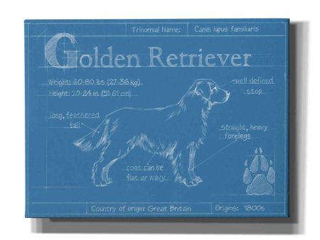 Blueprint Golden Retriever  by Ethan Harper Canvas Wall Art For Discount