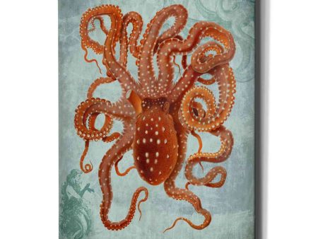 Coastal Life Collection 2 b  by Fab Funky Giclee Canvas Wall Art Online Sale