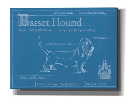 Blueprint Basset Hound  by Ethan Harper Canvas Wall Art Sale