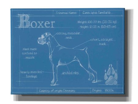 Blueprint Boxer  by Ethan Harper Canvas Wall Art Fashion