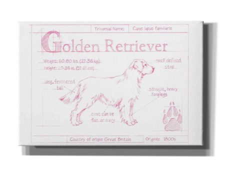 Blueprint Golden Retriever in Pink  by Ethan Harper Canvas Wall Art on Sale