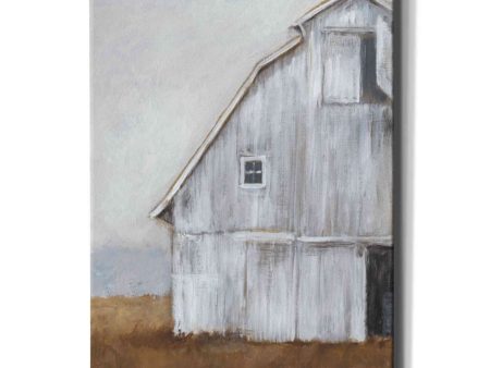 Abandoned Barn II  by Ethan Harper Canvas Wall Art Cheap