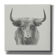 Black Bull  by Ethan Harper, Canvas Wall Art For Cheap