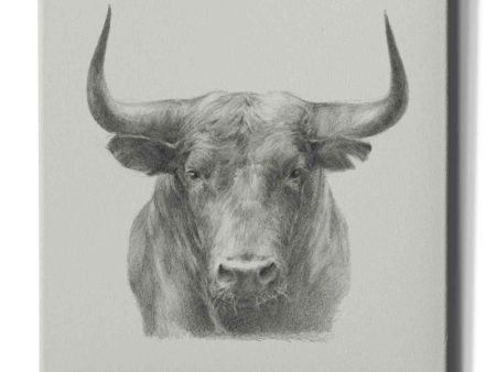 Black Bull  by Ethan Harper, Canvas Wall Art For Cheap