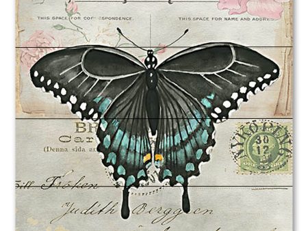 CIN3732PAL - Postcard Butterfly III - 12x12 For Cheap