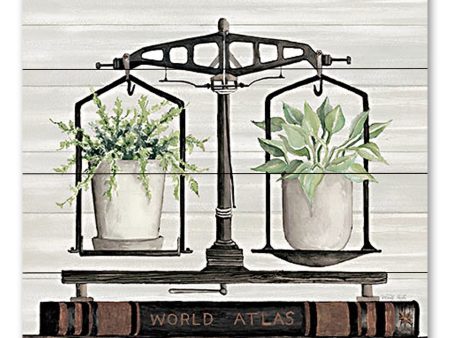 CIN3474PAL - Balanced Plant Life - 12x12 For Cheap