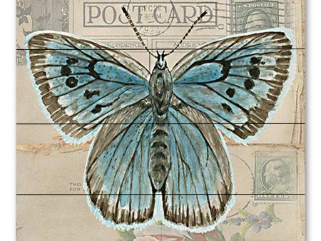 CIN3730PAL - Postcard Butterfly I - 12x12 For Cheap