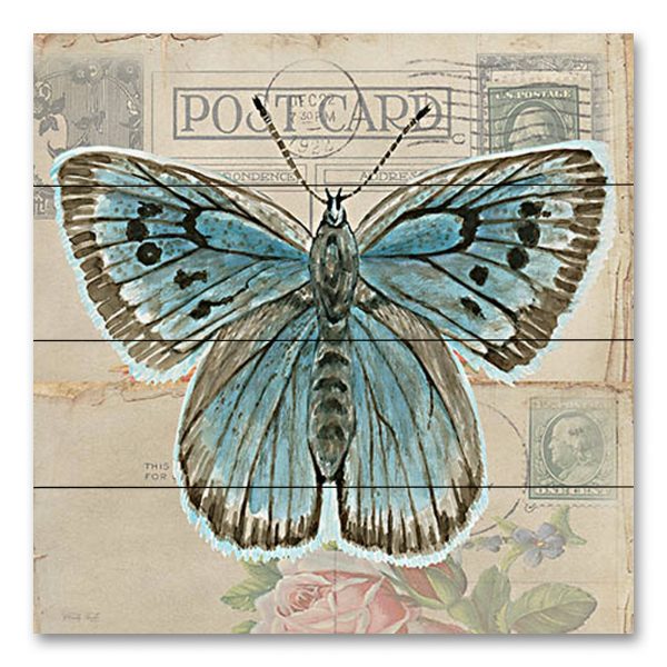 CIN3730PAL - Postcard Butterfly I - 12x12 For Cheap