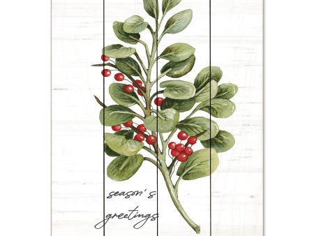 CIN3469PAL - Season s Greetings Greenery - 12x16 Fashion