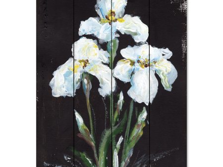 AH102PAL - Contrasting Irises - 12x16 Online now